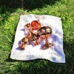 شکلات خوری الماس تراش کد 24almas